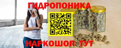 гидра Славгород