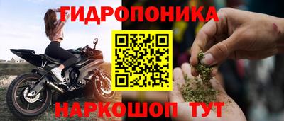 гидра Славгород
