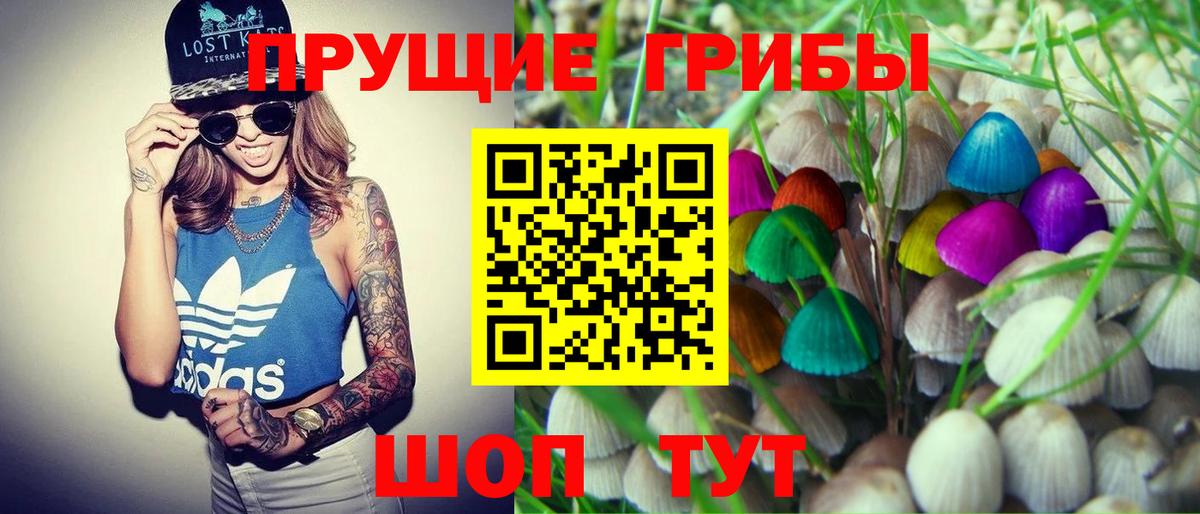 Псилоцибиновые грибы Cubensis  Вход с VPN  Нягань 